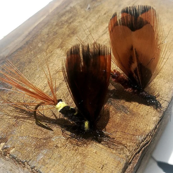 brown-fishing-flies.webp