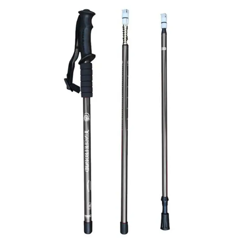 blackng-hiking-pole-disassembled.webp