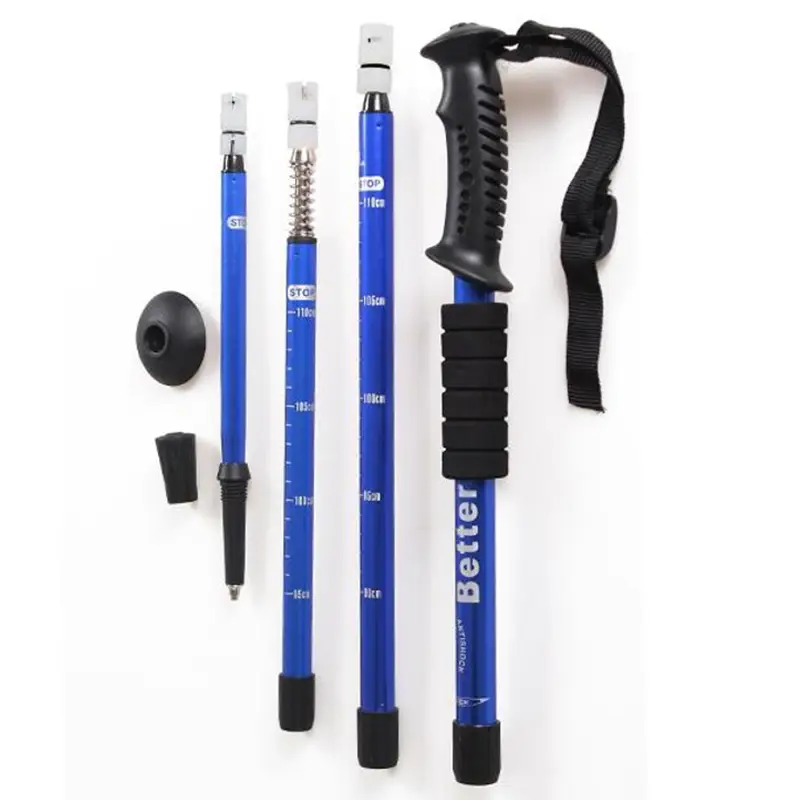 hiking-pole-disassembled-showing-all-parts.webp