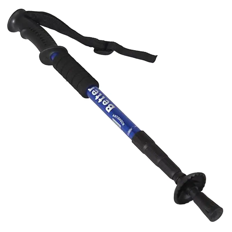 hiking-pole-with-snow-basket-installed.webp