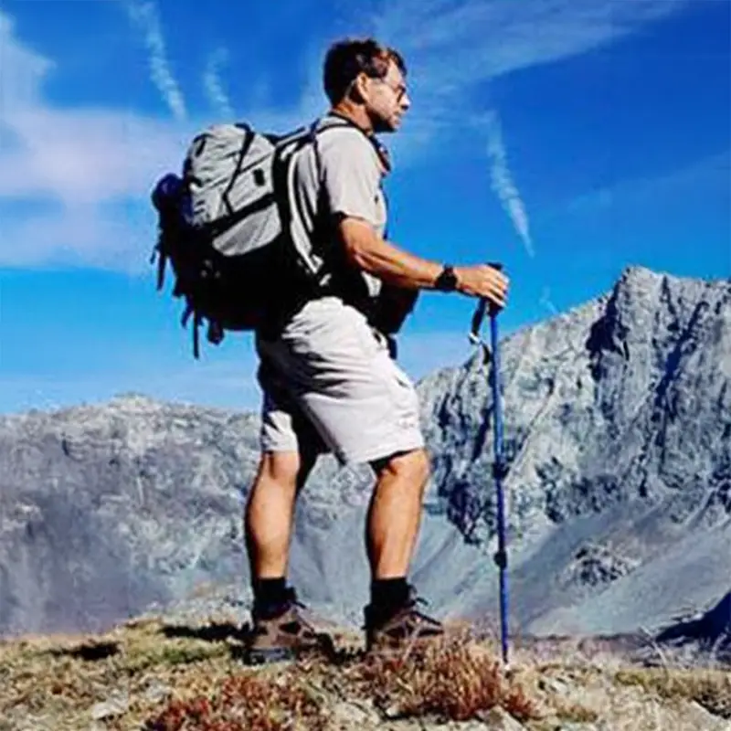image-of-a-man-using-a-hiking-pole.webp