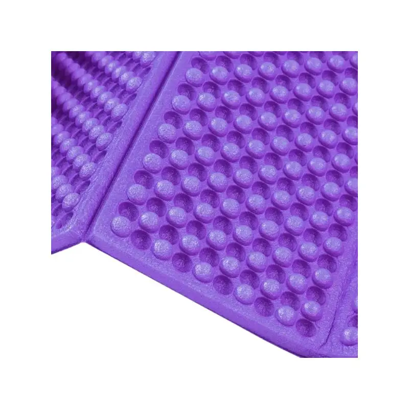 2_Hiking_Sleeping_Mat_Purple_Colour_Picture.webp