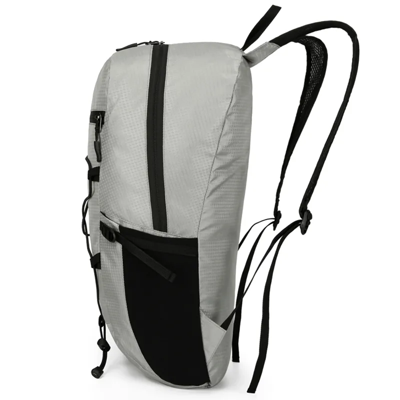 disfr-view-of-travel-pack.webp