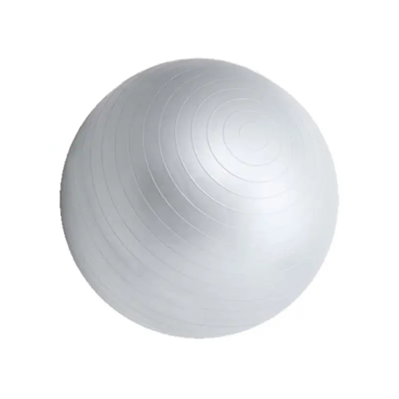 55-cm-Swiss-Ball-Fitness-Inflatable-Exercise-Ball-for-Core-Training-Grey-Colour-Main-Product-Image.webp