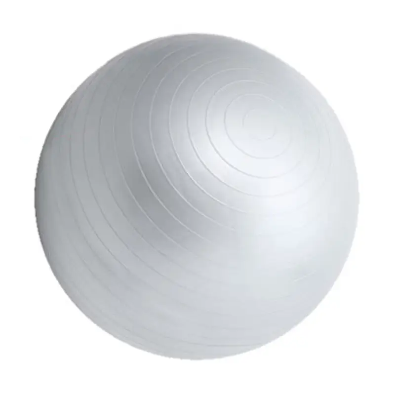 65 cm Swiss Ball Fitness Inflatable Exercise Ball for Core Training Silver Colour