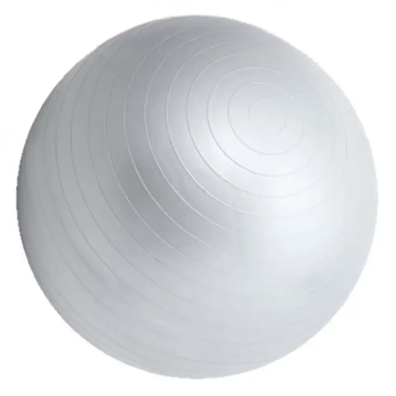 75 cm Swiss Ball Fitness Inflatable Exercise Ball for Core Training Silver Colour