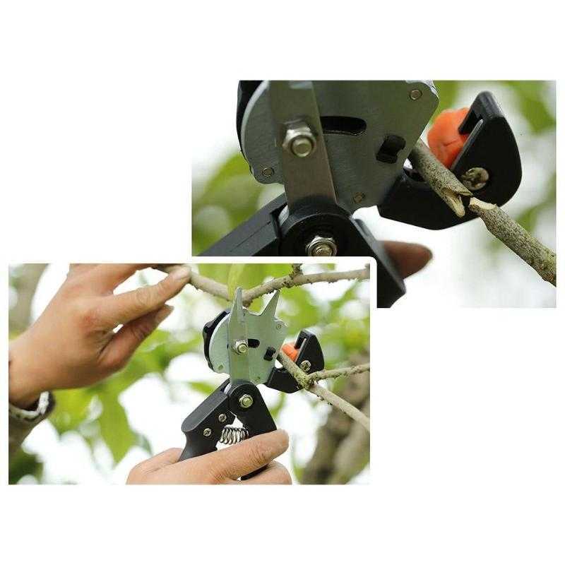 garden-fruit-tree-pruning-grafting-cutting-scissor-set.jpg