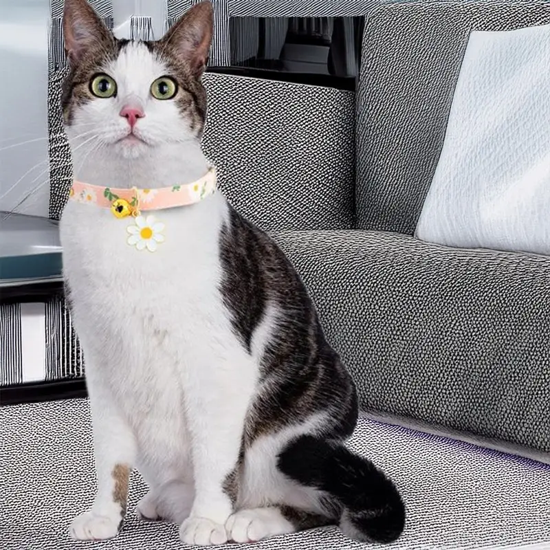 cat-wearing-a-pink-collar-with-flowers-and-a-bell.webp