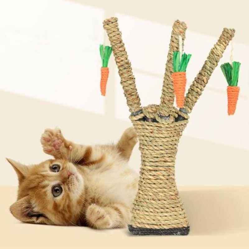 2_Interactive_Cat_Climbing_Tree