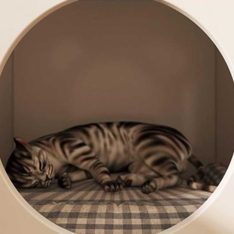 2_Modern_Furniture_Cat_Bed_Nightstand
