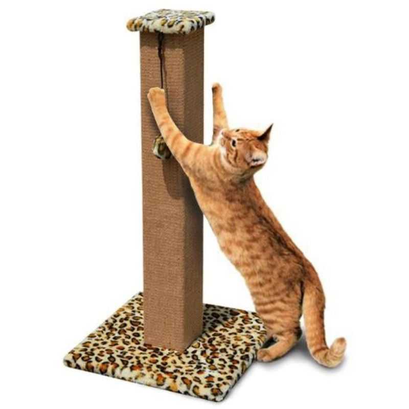 3_Cat_Exercise_and_Stress_Relief_Scratching_Post.jpg