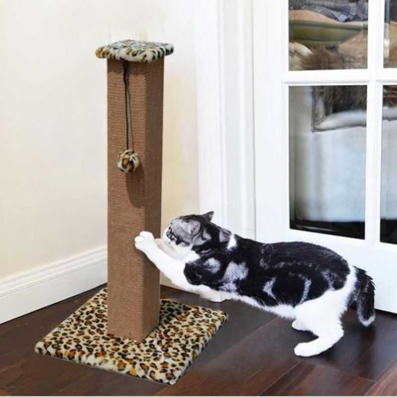 4_Furniture_Protective_Cat_Scratching_Post_with_Ball_Toy.jpg