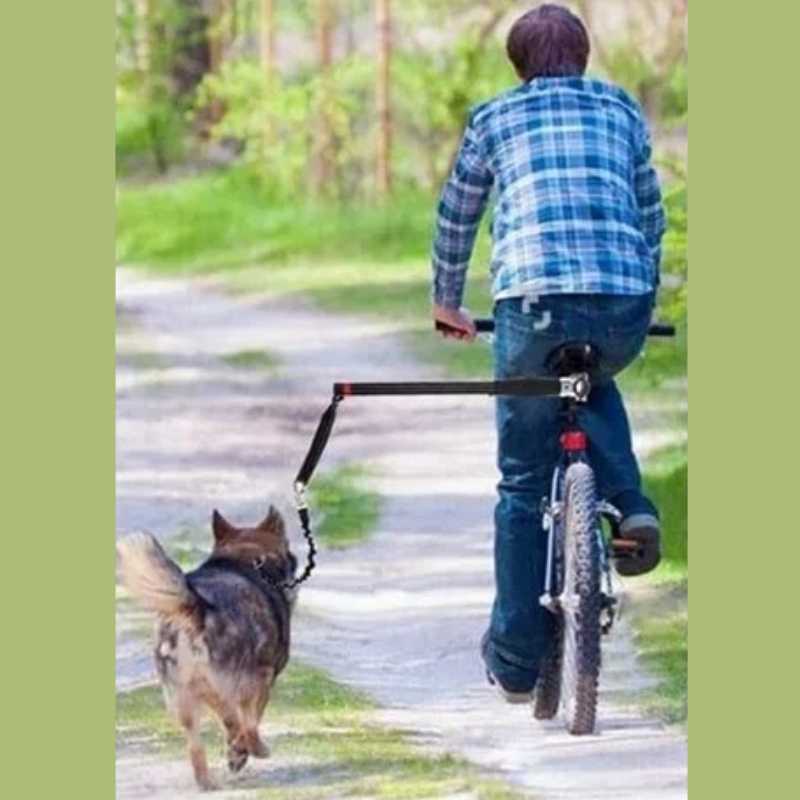 1_Dog_Bike_Leash_Attachment_Kit_Product_Image