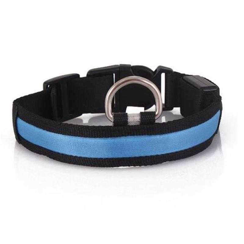 2_Night_Safety_LED_Pet_Collar_Blue_S