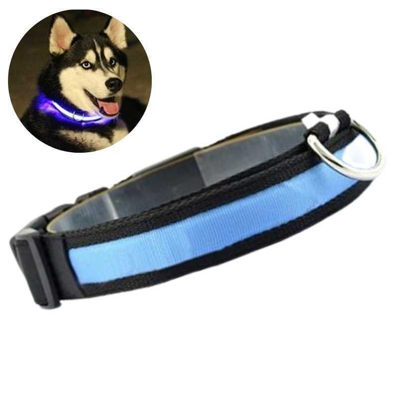 High Vis LED Dog Collar Light Up Blue Large Size