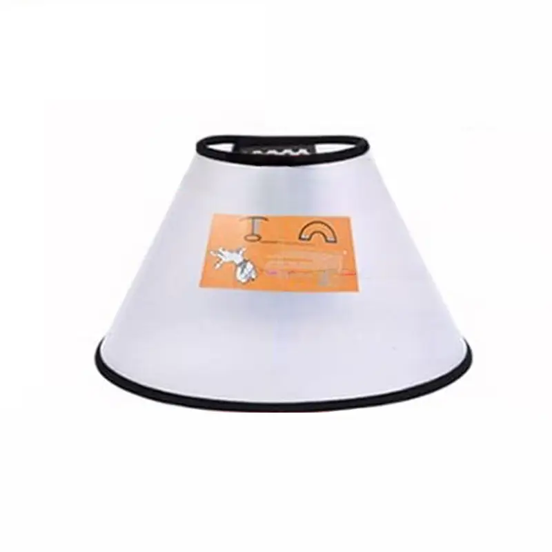 elizabethan-cone.webp
