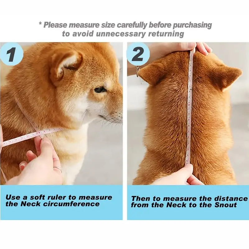 how-to-measure-size-to-fit-elizabethan-cone.webp