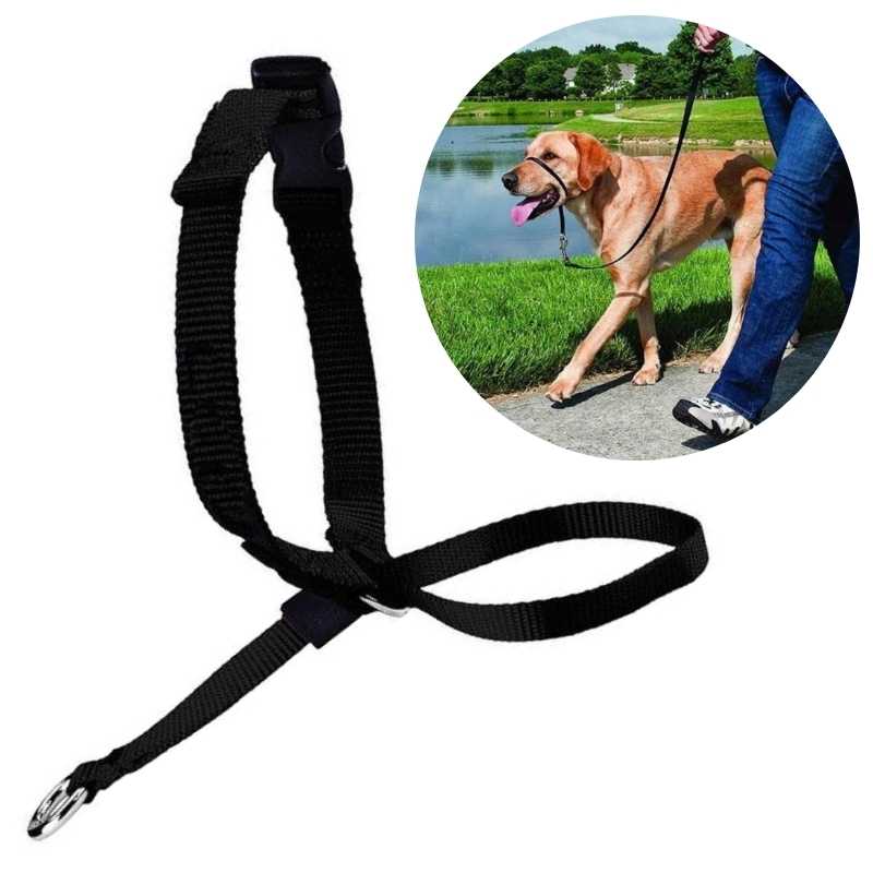 Collars for large dogs that pull best sale