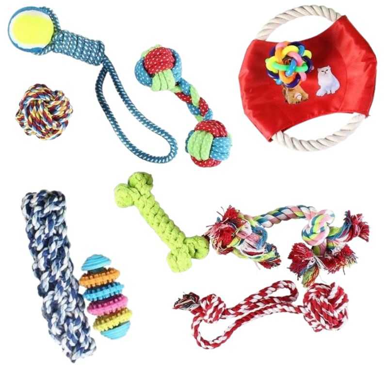 1_10_Pack_Dog_Chew_Toy_Set