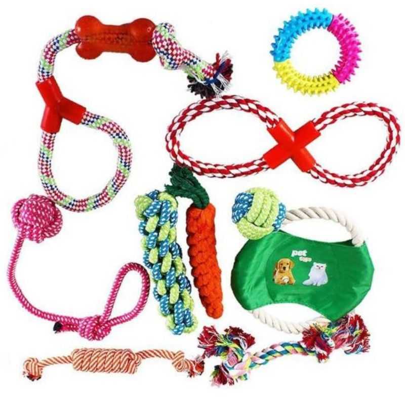 1_Dog_Chew_Toy_Set_Pack_of_10