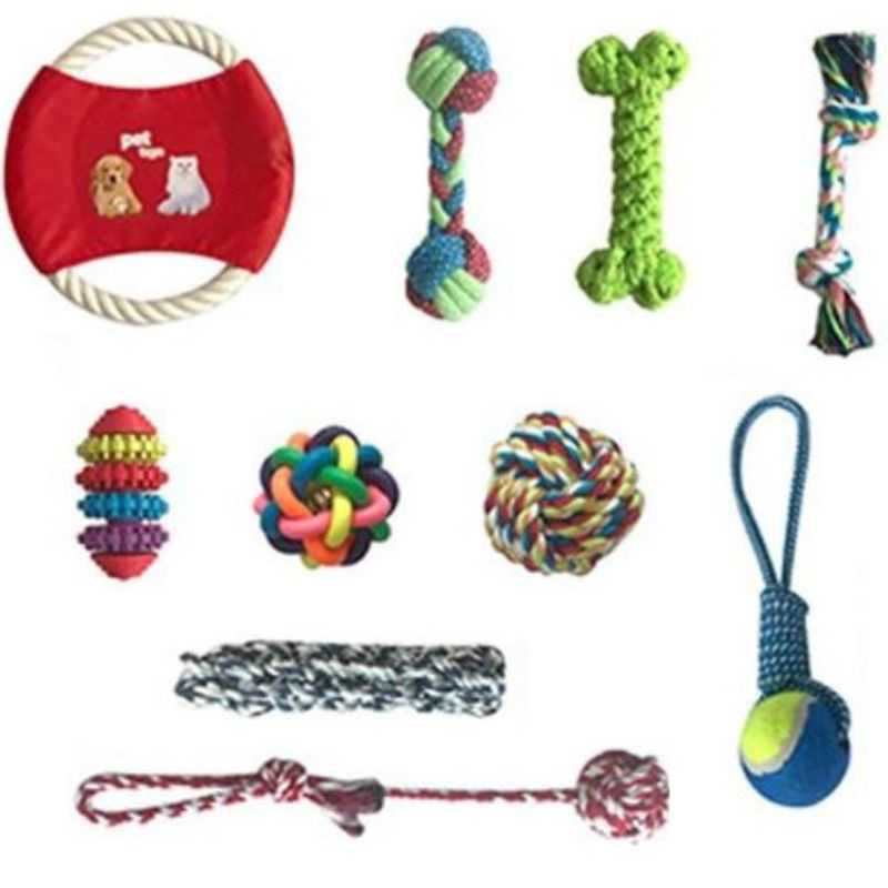 2_Vibrant_Colourful_Pet_Toy_Collection.jpg