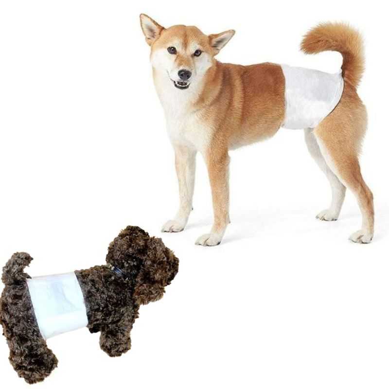 3_Comfortable_Breathable_Male_Dog_Diapers.jpg