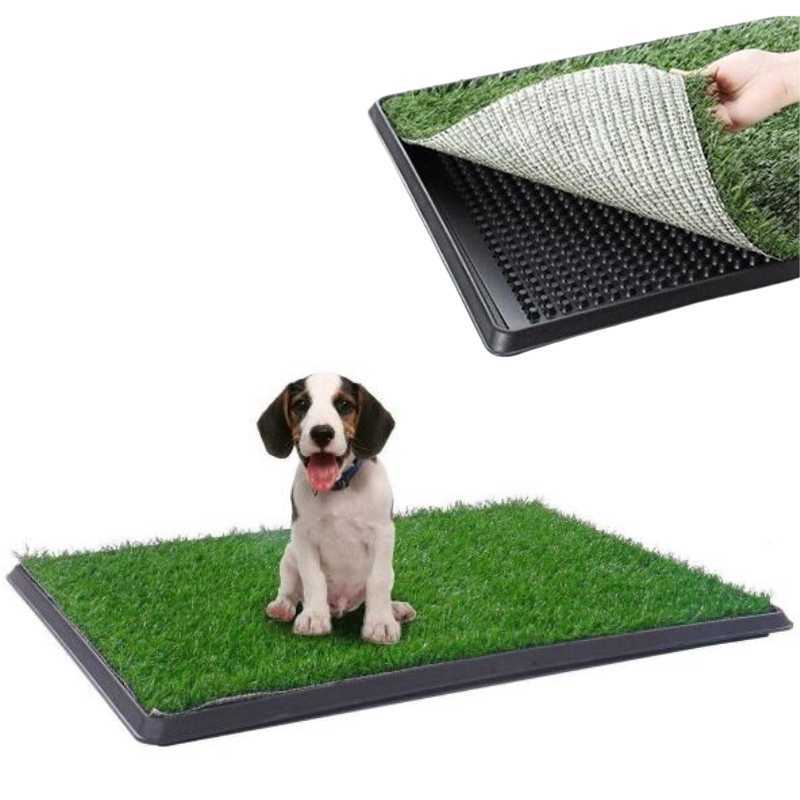 Puppy Dog Potty Training Mat for Toilet Training Pets