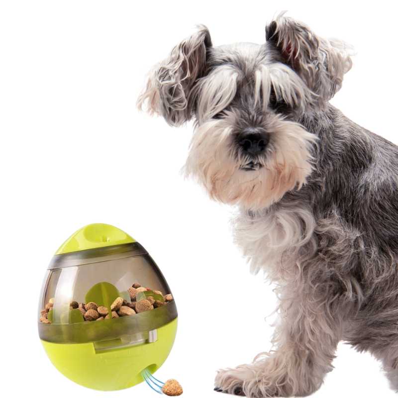 Tumbler Shape Dog Food Puzzle Toy Training IQ for Dogs