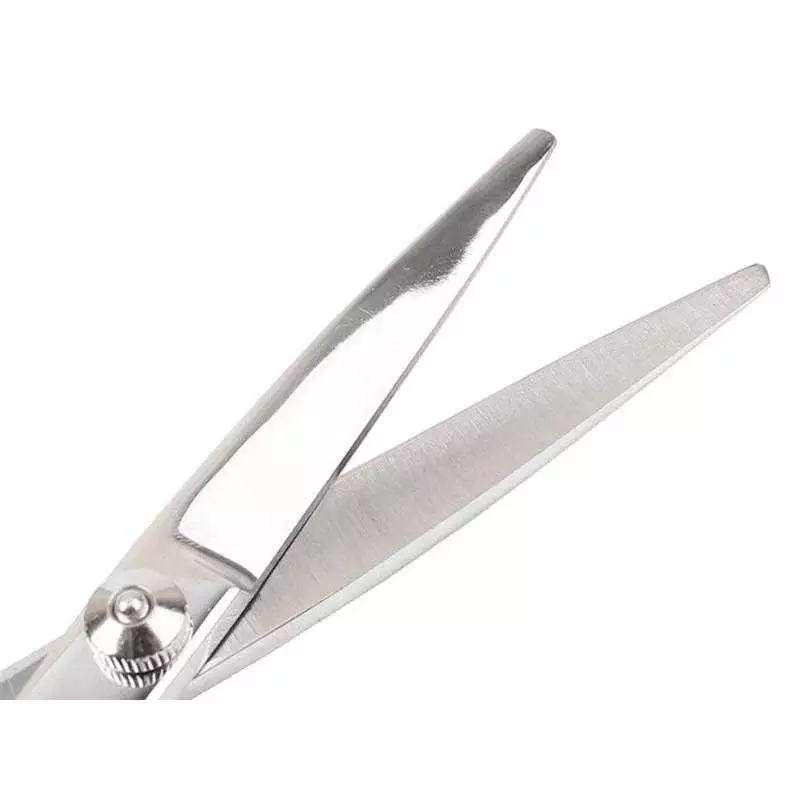3_Dog_Hair_Cutting_Scissors_Set.webp