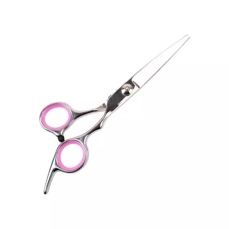 5_Stainless_Steel_Pet_Grooming_Set.webp