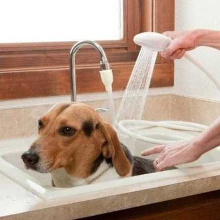 bath-adaptor-used-to-wash-dog-in-bath