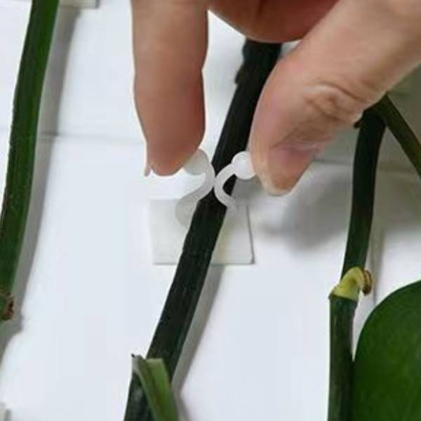 how-to-close-Kaimo-plant-ties.jpg