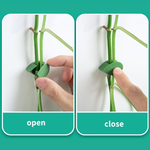 how-to-use-plant-clips.jpg
