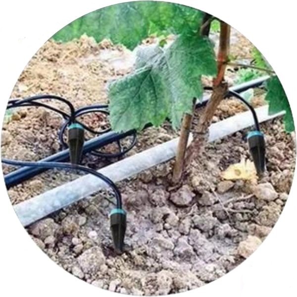 drip-irrigation-system-self-watering-system-for-garden.jpg