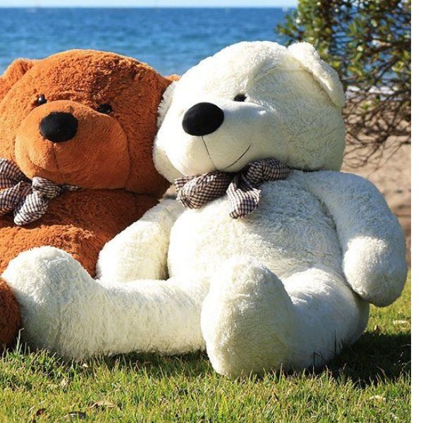 large-white-teddy-bear-on-grass-near-beach.jpg
